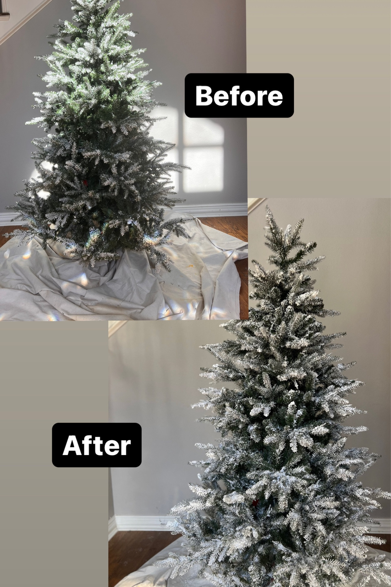 It’s not hard to refresh your flock on a flocked Christmas tree that has lost flock over the years.  Check out all my videos here on how to do it.  

#LTKhome #LTKSeasonal #LTKHoliday