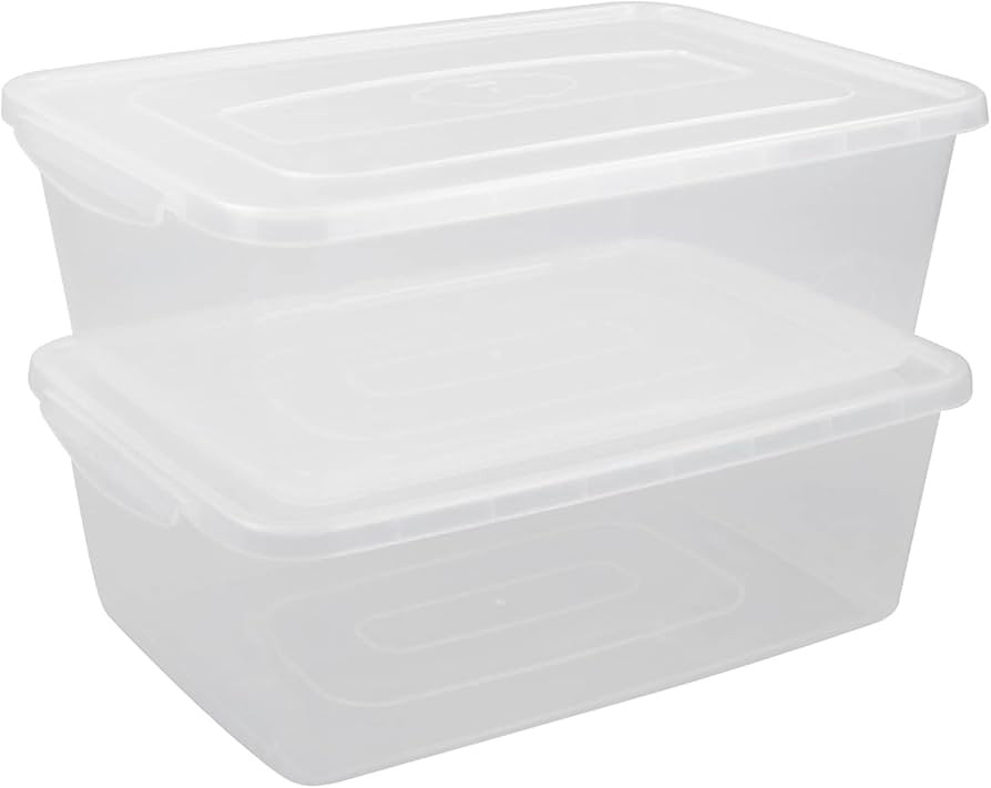 CadineUS 16 Quart Clear Storage Bins, Plastic Tubs with Lids for Storage, 2-Pack | Amazon (US)