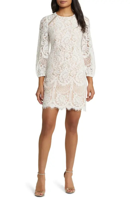 Vince Camuto Raglan Long Sleeve Lace Dress in Ivory Beige at Nordstrom, Size 4 | Nordstrom