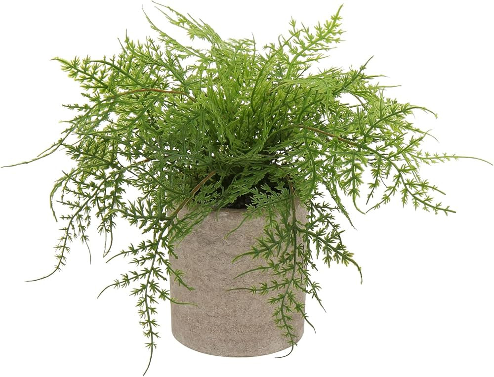 Briful Small Fake Plant Potted Plants Artificial Decor Silk Asparagus Ferns Plant Faux Plants in ... | Amazon (US)