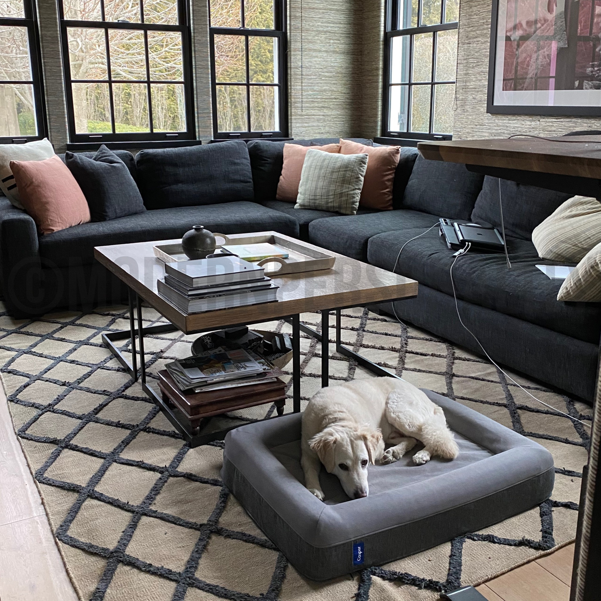 📚🛋️💙
•
•
•

Bench | Dyson v8 | standing lamps for living room | small side table for living room | coastal living room | living room cafe | living room ideas 2023 | living room paint colors 2023 | best living room paint colors 2023 | infuse hue ceiling lamp | ceiling fan with light | lamps plus | lowes ceiling fans | ceiling fan | home interiors | living room colors 2023 | sheer curtains for living room | large artwork for living room | bloxburg living room ideas | cb2 | the living room size | living room theater | living room realty | living room vs family room | best swivel chairs for living room | bobs furniture | ruggable | lounge chairs | cheap living room chairs | walmart chairs living room | restoration hardware | scandinavian houses | bloxburg living room ideas | home interiors | living room theatres | modern rugs for living room | contemporary houses | living room theatre | world market | arm chairs for living room | living room ceiling fan | best living room paint colors 2023 | living room fan | sheer curtains for living room 

#LTKhome #LTKFind #LTKfamily