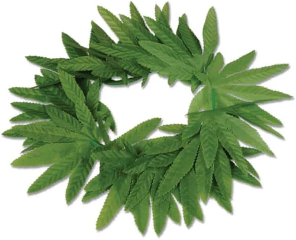 Beistle Tropical Fern Leaf Headband | Amazon (US)