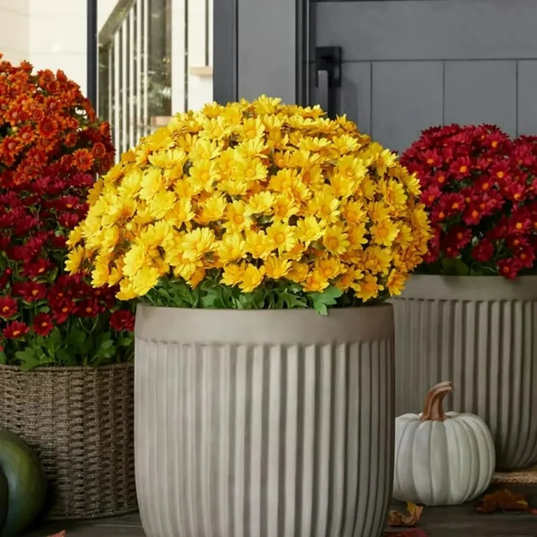 Funsdecor Mums, Artificial Outdoor Sunset Mums Flowers - UV Resistant, Waterproof, Windproof, Nev... | Walmart (US)