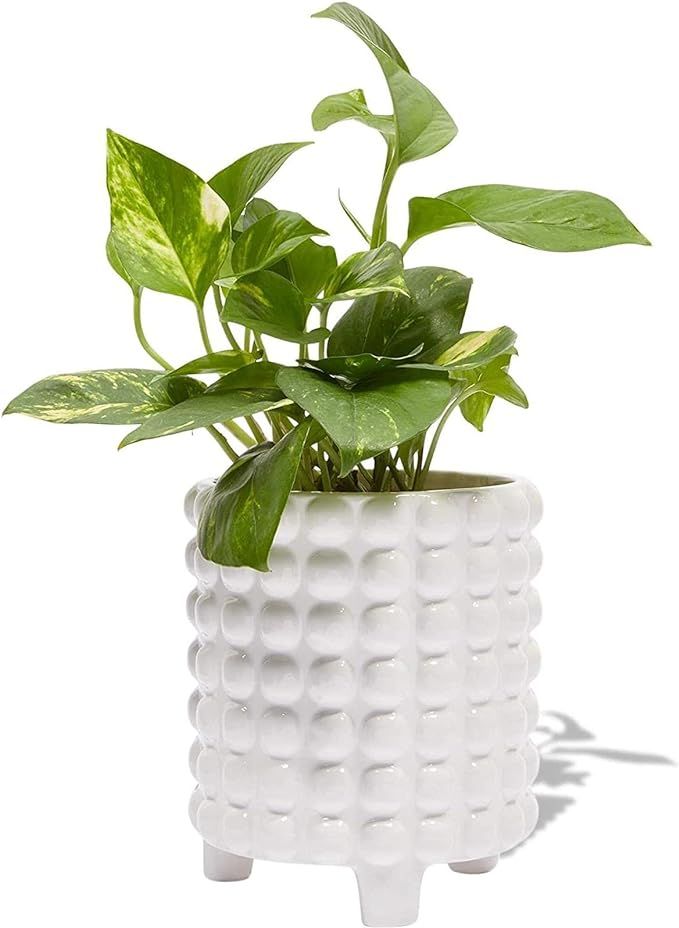 Hobnail Ceramic Planter, White Flower Pot (7 Inches) | Amazon (US)