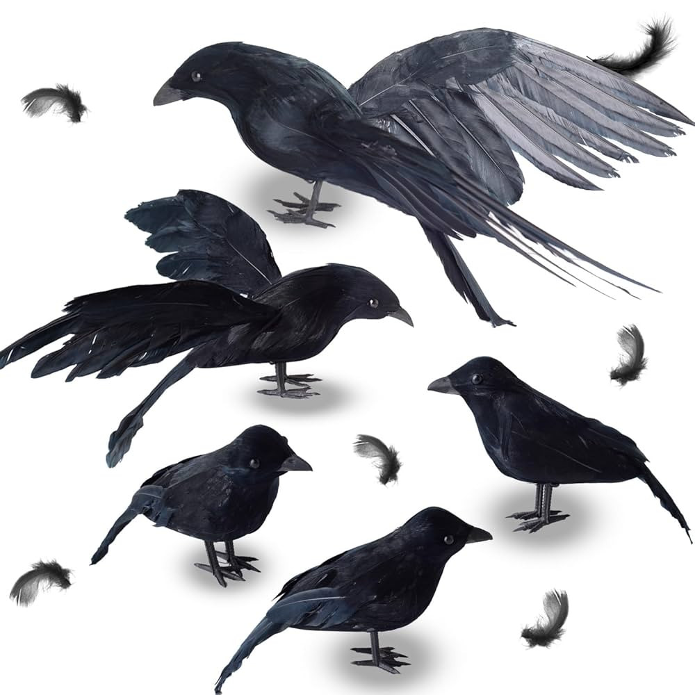 5 Pack Halloween Crows Decorations, Assorted Size Black Feather Halloween Crows and Ravens Decor,... | Amazon (US)