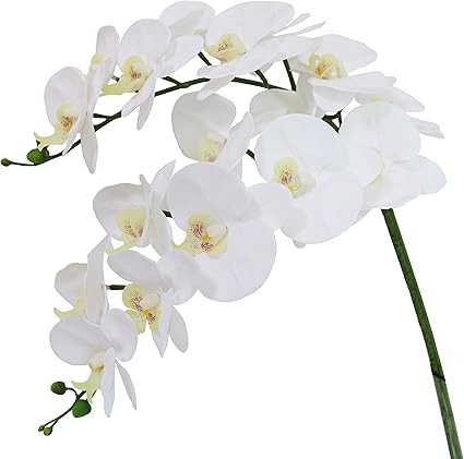 Htmeing 38 Inch Artificial Phalaenopsis Flowers Branches Real Touch (Not Silk) Orchids Flowers fo... | Amazon (US)