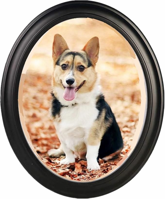 Oval Picture Frames,Oval Wood Picture Frame Wooden Wall Hanging Picture Frames for Home Office Wa... | Amazon (US)