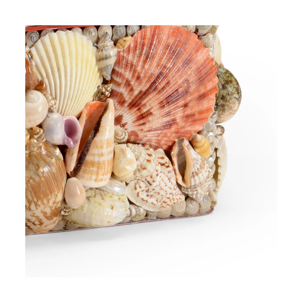 Shell Decorative Box | Wayfair North America