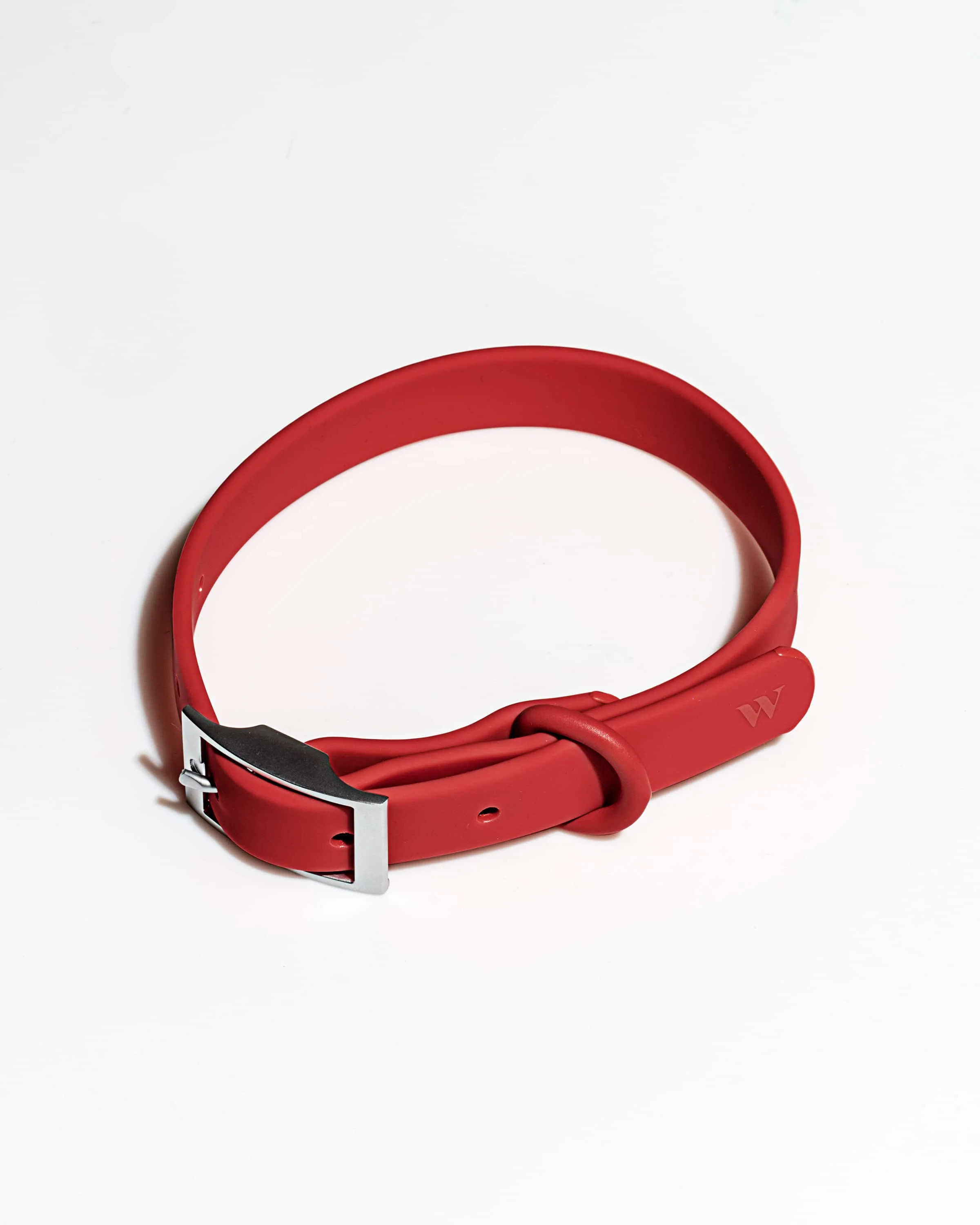 Dog Collar | Wild One | Wild One
