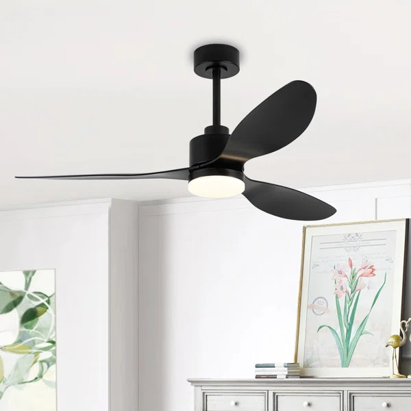 Loritta 52'' 3 - Blade Large Indooor Ceiling Fan With Light Kit and Remote, 3 LED Colors, 6 Speed... | Wayfair North America