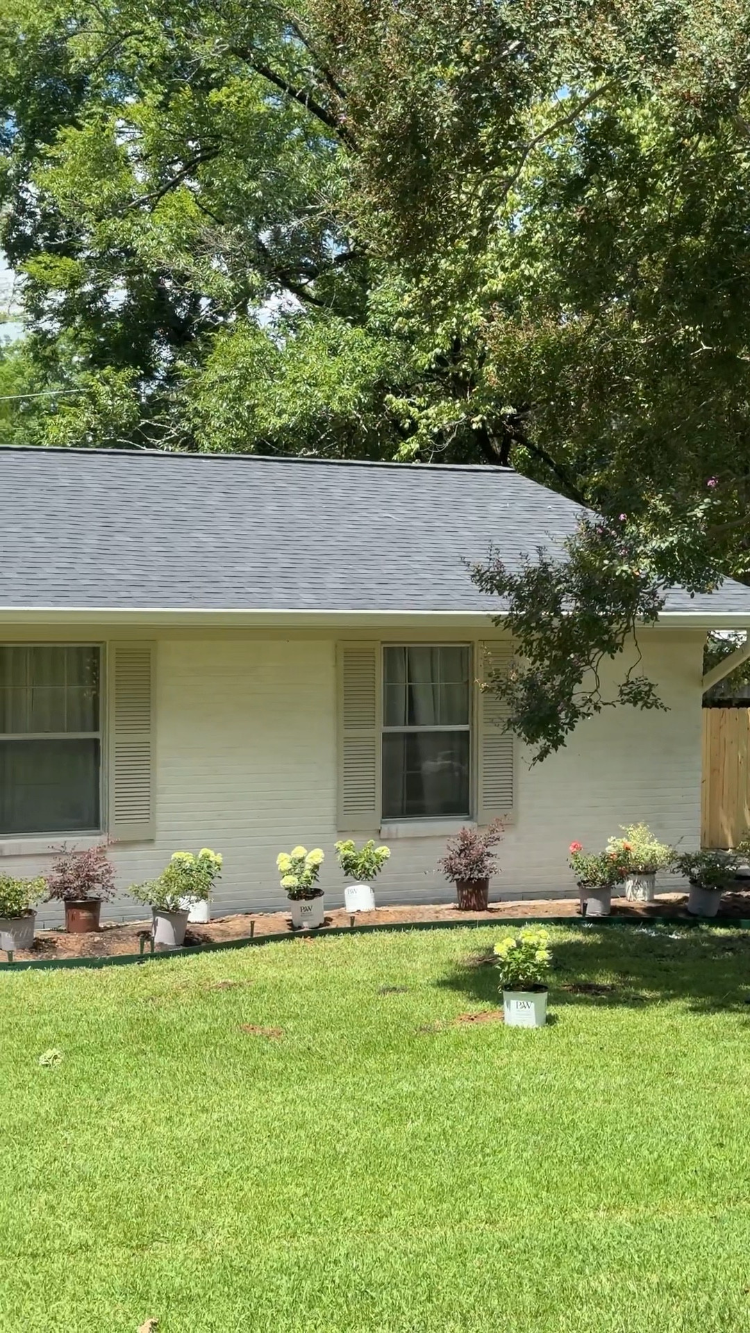 I’ll never shut up about this!!! 

#LTKHome