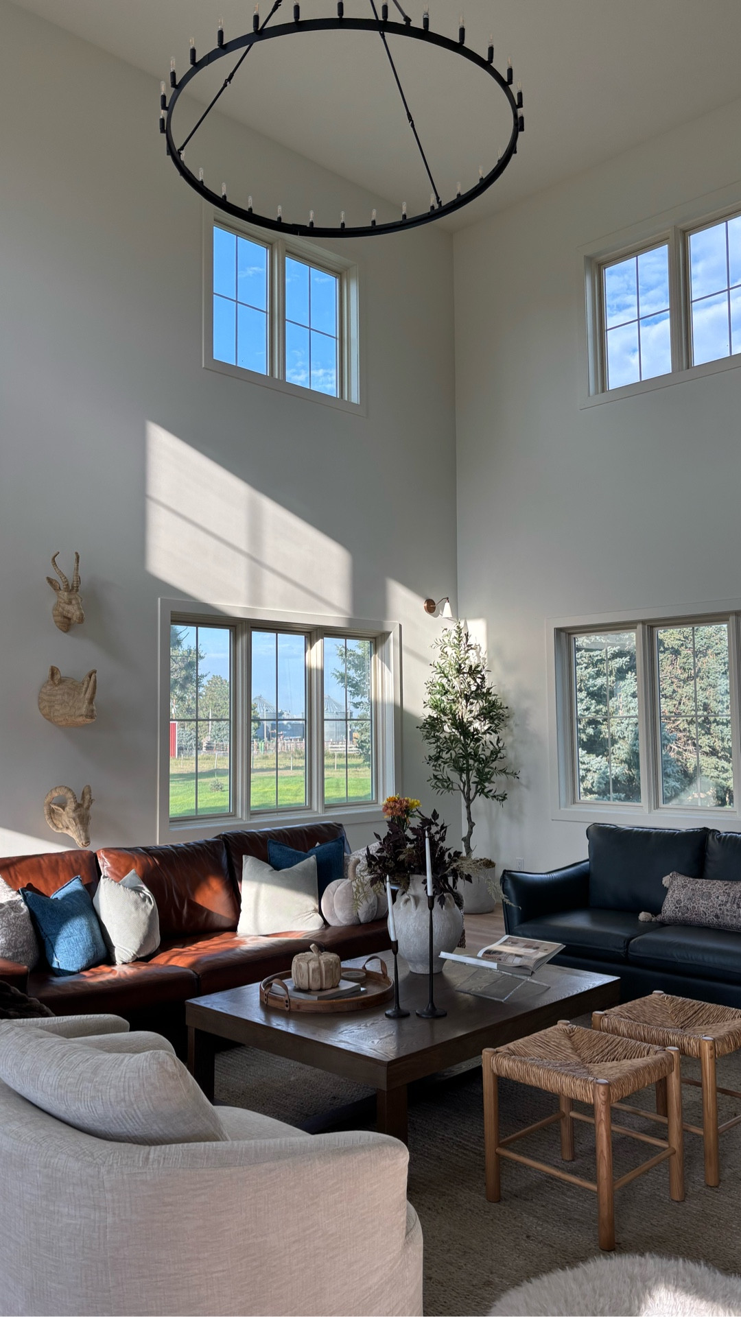 Let’s have a vote: which tree is Pottery Barn?  The olive tree or the fiddle leaf?  The other one is under $100 on Amazon.  Comment SHOP for both.

#whitehouse #homedecorating #greatroom #livingroominspo #livingroomdecor #fiddleleaffig #olivetree

#LTKHome