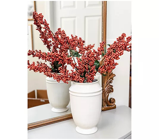 Simply Stunning S/3 Harvest Bittersweet Berry Clusters by Janine Graff | QVC