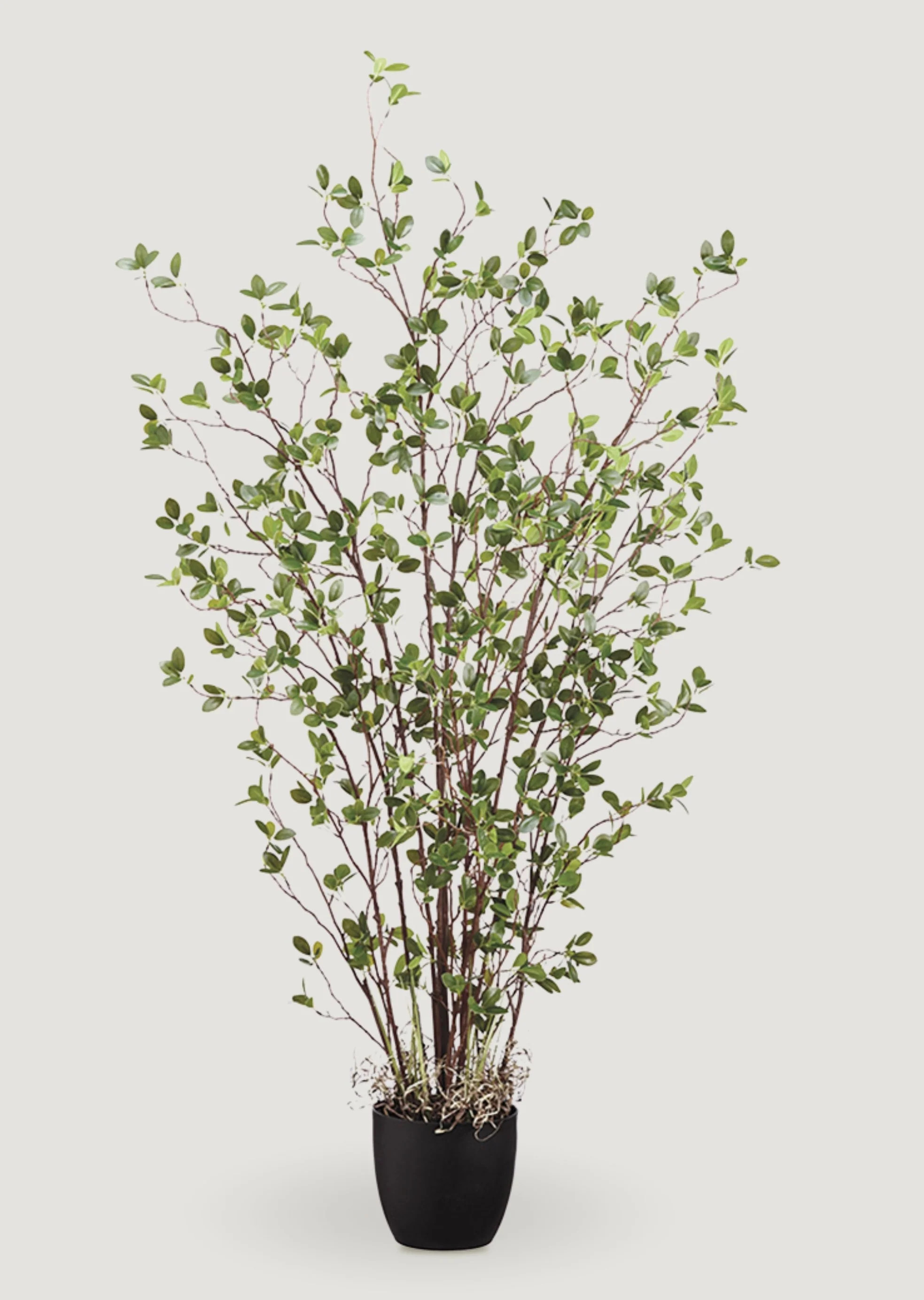 Tall Fake Potted Tree Plant | Artificial Trees at Afloral | Afloral