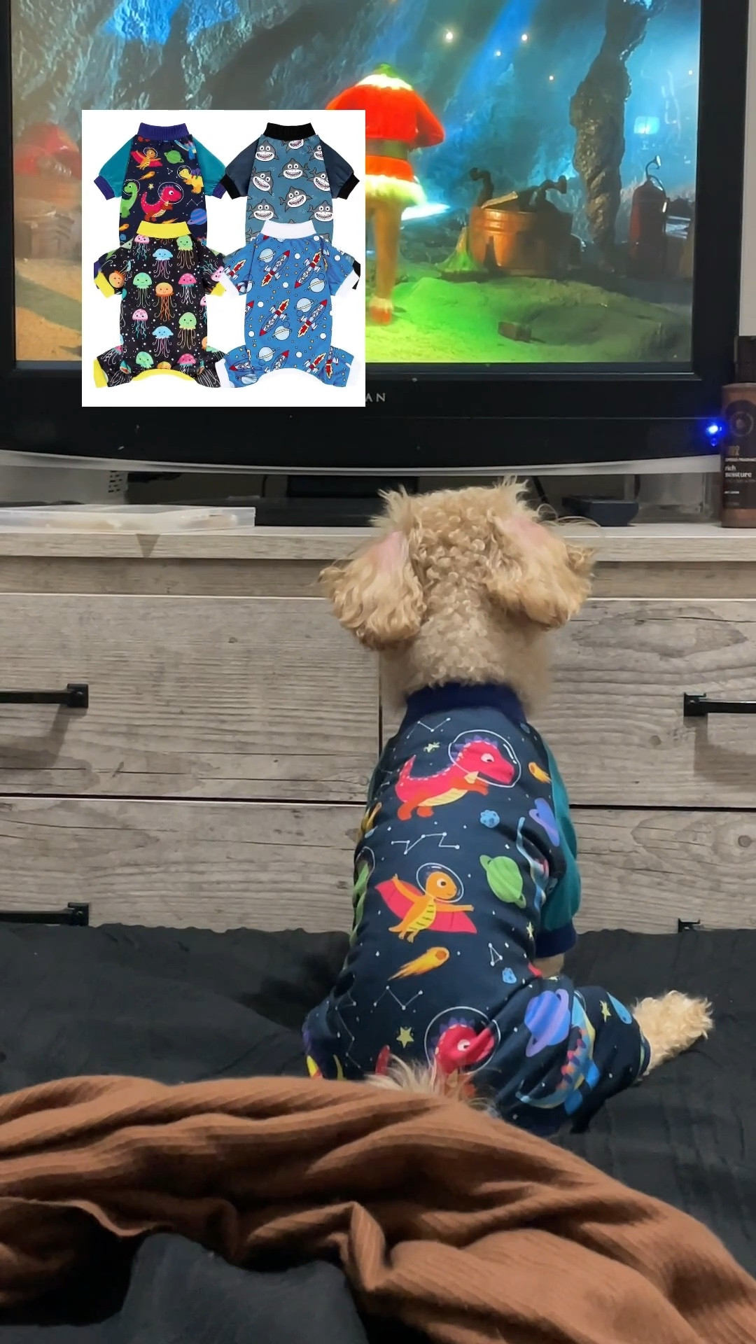 Cute cozy pajamas for your small dogs. 

#LTKFindsUnder100 #LTKootd #LTKgrwm