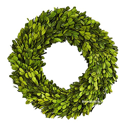 BOXWOOD WORLD Boxwood Wreath 14" Preserved Natural Boxwood Wreath Home Decor Keep Fresh for Years Home Wreath Decor (Preserved Boxwood) | Amazon (US)