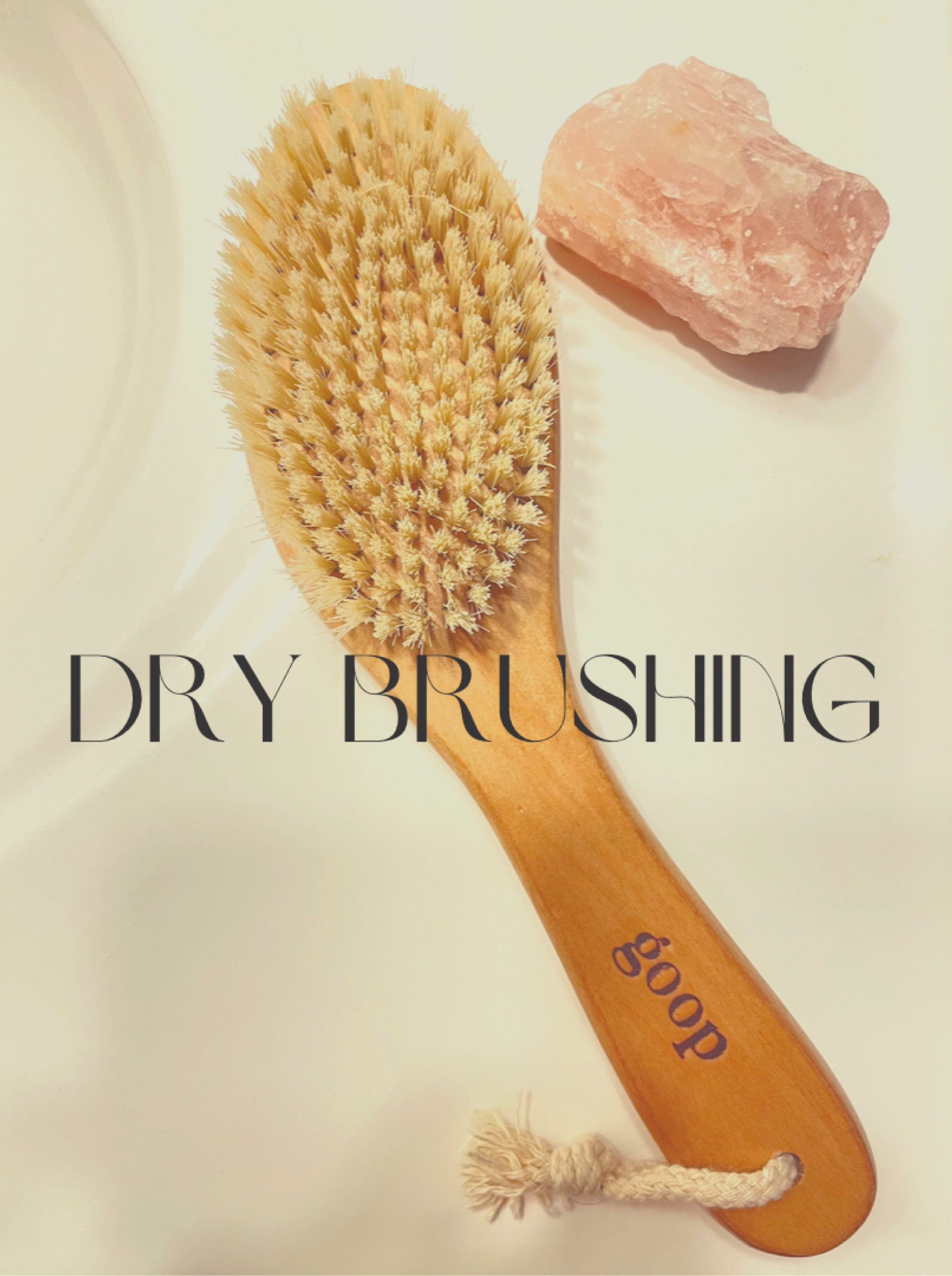 G.Tox Ultimate Dry Brush