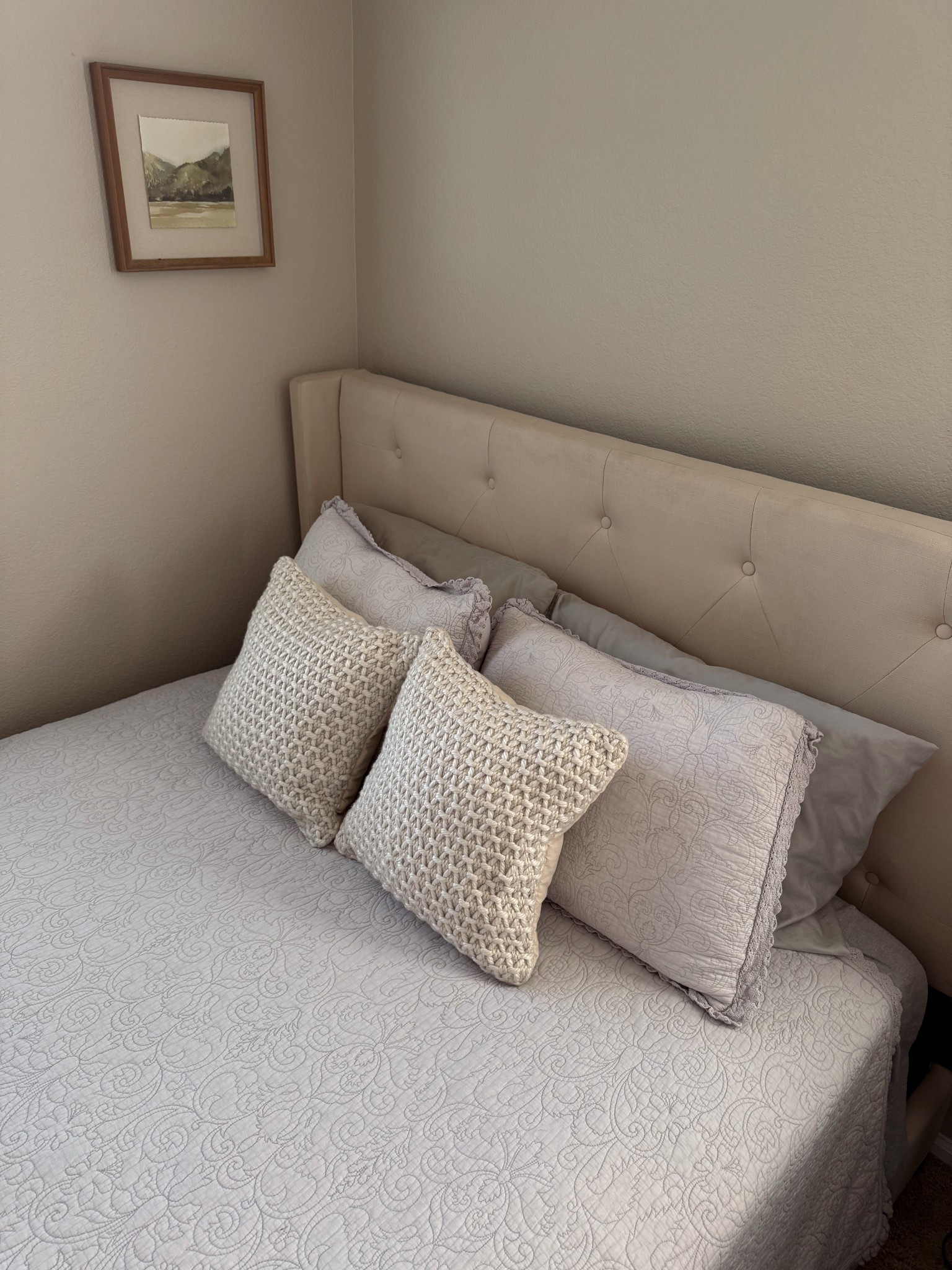 Walmart throw pillows! 