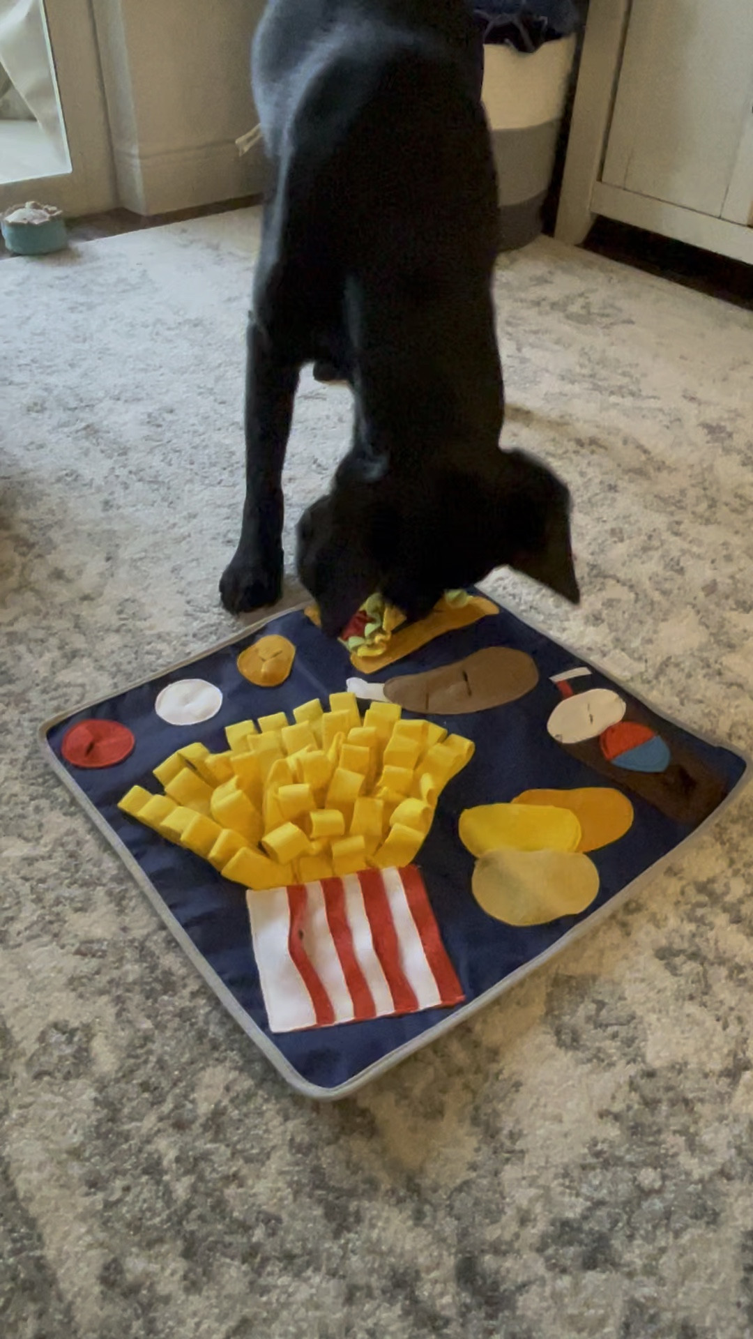 A fun themed enrichment mat! 