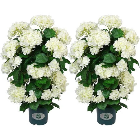 Faux Hydrangea Tree – 30 Inch Hydrangea Tree Artificial with White Flowers, UV Resistant Outdoor Hydrangea Artificial Plants in Pot for Indoor Outdoor Home Porch Decor (2 Pack) | Walmart (US)