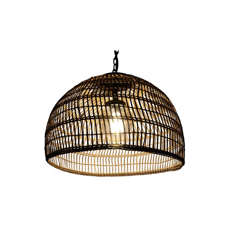 Wade Logan® Aundra Brown 1 -Bulb Outdoor Pendant & Reviews | Wayfair | Wayfair North America