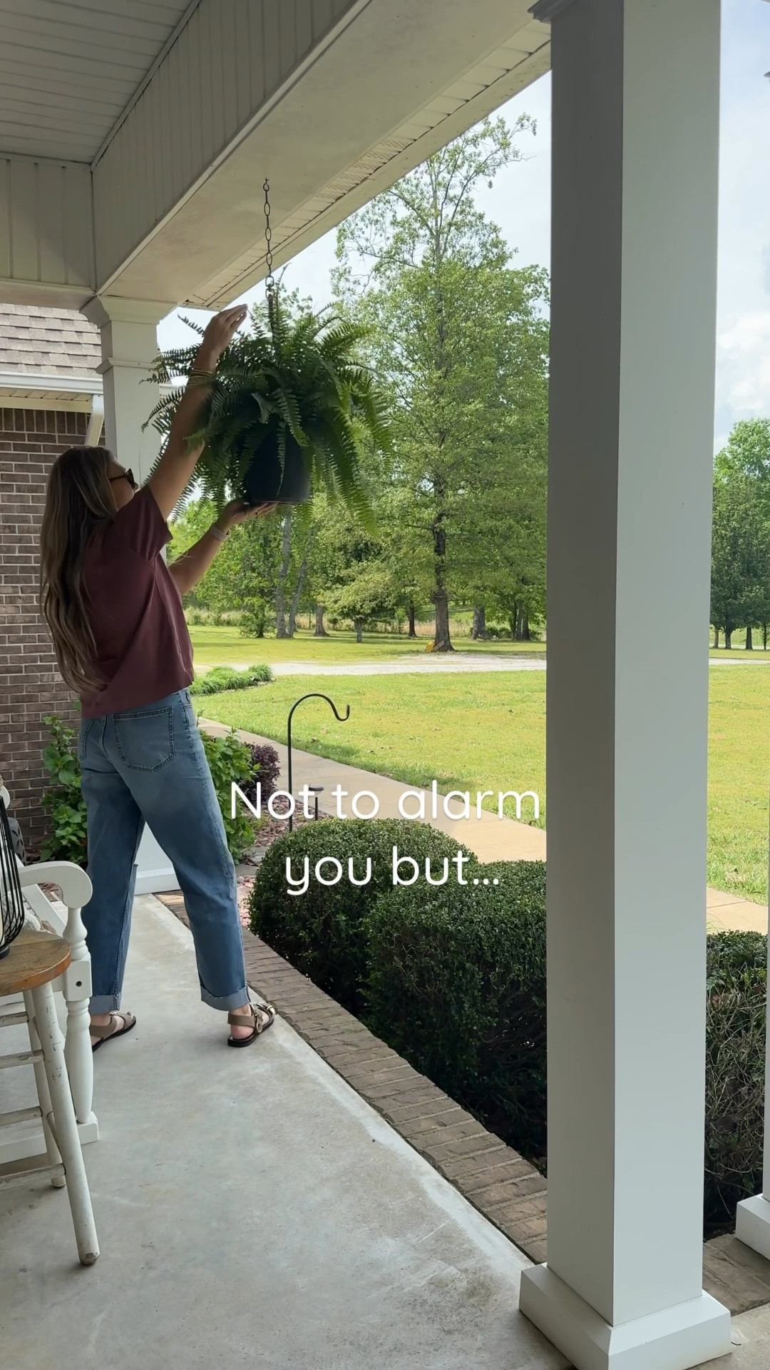 Lowe’s has their ferns 2 for $20 through 4/20! Also linking only OOTD. Got these jeans at Target and love them!! 

#LTKOver40 #LTKSeasonal #LTKHome