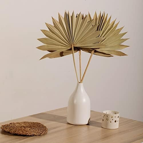 Natural Large Dried Palm Leaves-4 pcs Dried Palm Fans, Dried Palm Spears, Artificial Plants Palm Lea | Amazon (US)