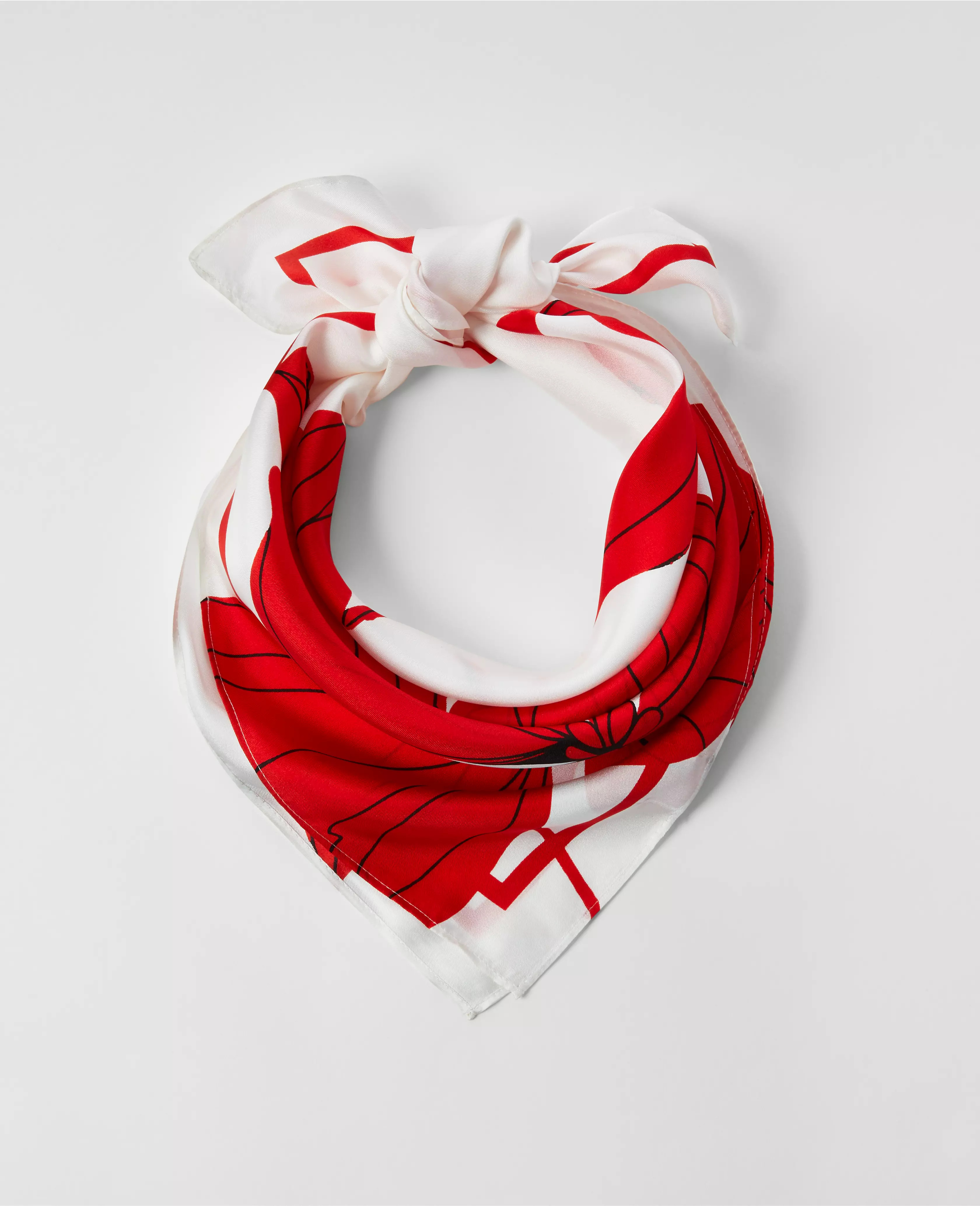 Ann Taylor | Ann Taylor