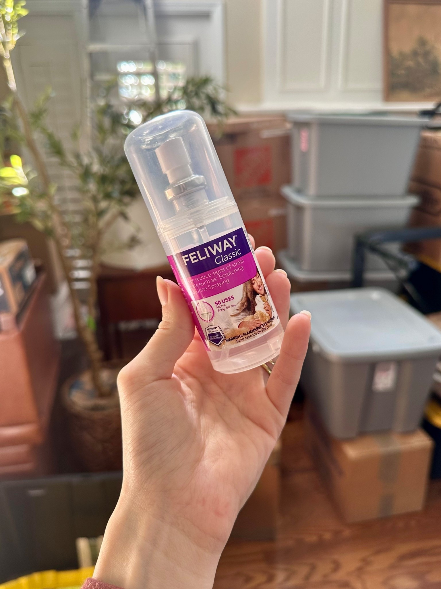 This has helped so much with the drive to our new home and the subsequent quarantine the cars are having to endure surfing this move. We also have the plug ins and used those fur years (also linked) but the spray is great to use as needed. I night another less expensive option but it doesn’t seem to work as well…it dues smell great though so I’ve been using them in tandem. I’ll link that as well 

Cat mom | moving | cat essentials 

#LTKdayinmylife #LTKmomlife #LTKCyberWeek