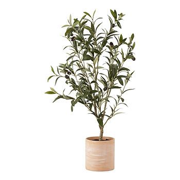 Linden Street 27" Olive Tree | JCPenney