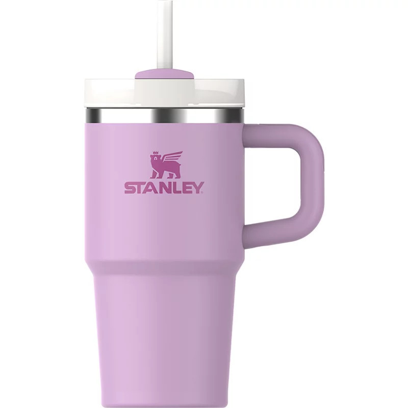 Stanley 20oz Adventure Quencher H2.0 FlowState Tumbler | Academy Sports + Outdoors