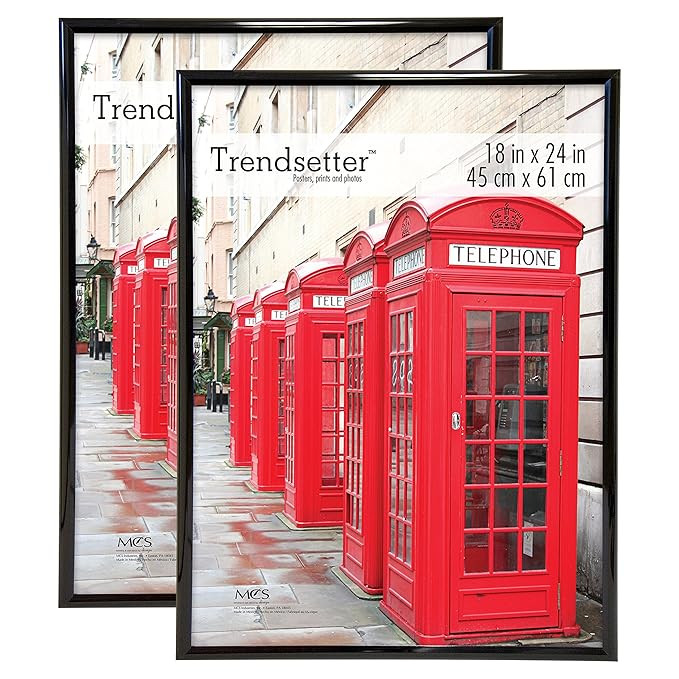 MCS Trendsetter 18x24 Inch Poster Frame (2pk), Black (65753) | Amazon (US)