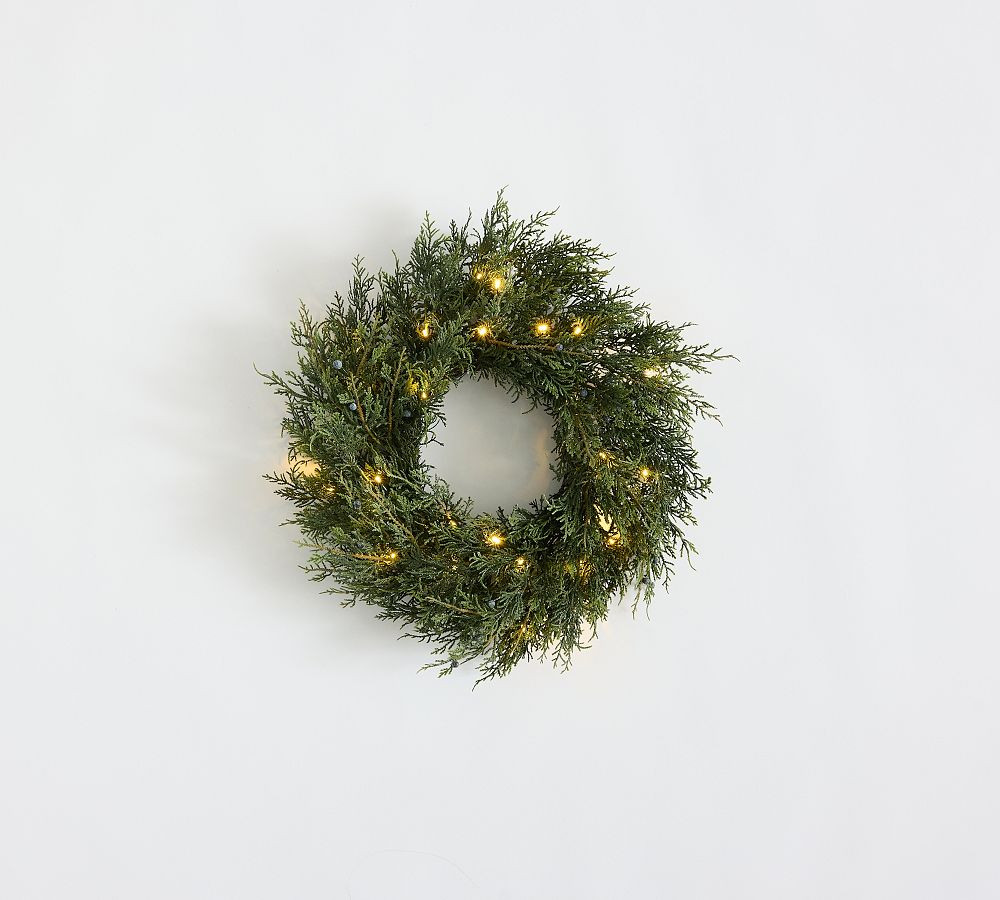 Faux Lit Juniper Berry Wreath & Garland | Pottery Barn (US)