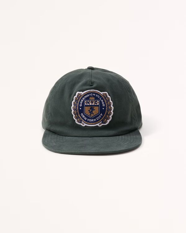 Embroidered Graphic Flat Bill Hat | Abercrombie & Fitch (US)