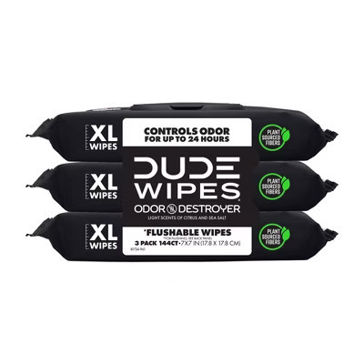 Dude Wipes Odor Destroyer Flushable Personal Wipes - 48ct/3pk | Target