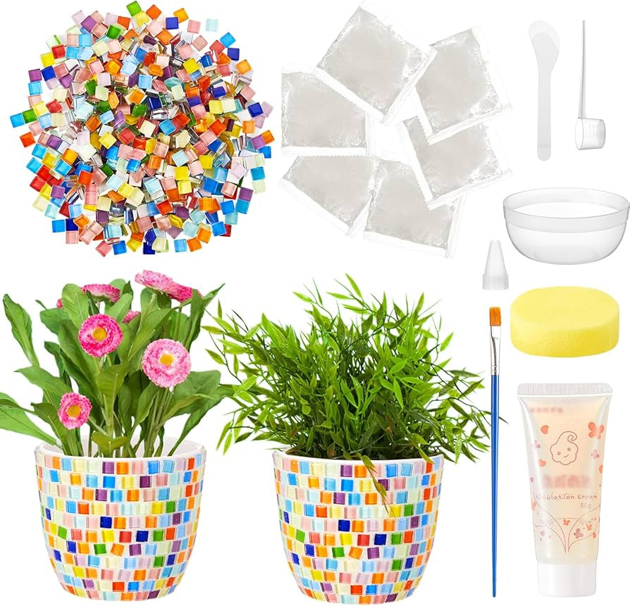 Tioncy 2 Set DIY Vase Mosaic Painting Kit for Adults Gift, DIY Arts and Craft Kits with Vase Flow... | Amazon (US)