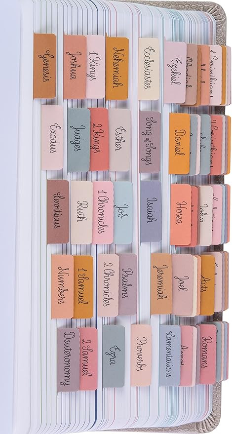 DiverseBee Laminated Bible Tabs (Large Print, Easy to Read), Bible Journaling Supplies, Bible Boo... | Amazon (US)
