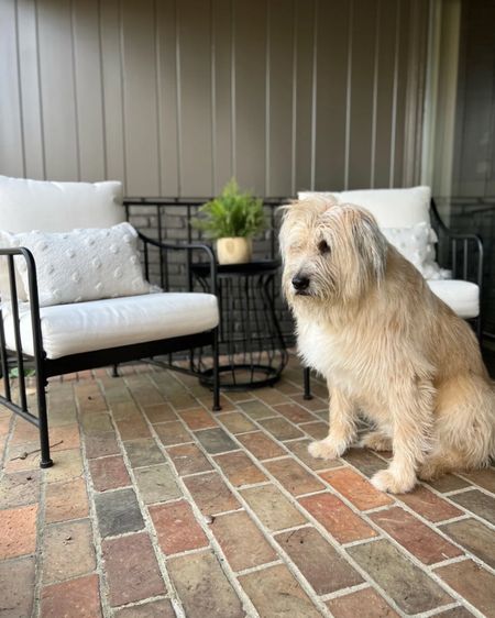 Deacon likes this set as much as I do! Such a great budget friendly option to add to your outdoor space 🖤

Amazon find, Amazon home, Walmart find, Walmart home, target find, target home, Amazon must have, Amazon home decor, traditional home decor, classic home decor, bedroom styling, living room styling, dining room styling, kitchen styling, home decor find, home decor inspiration, interior design, budget finds, organization tips, beautiful spaces, home hacks, shoppable inspiration, curated styling, living room decor, living room inspiration, Amazon home must have, Amazon rug, neutral home decor, neutral rug, pillow covers, wall art, slipcovered sofa, olive tree, Affordable home decor, budget bedding, affordable bedding, budget home decor, bedroom refresh, home refresh, looks for less, home hack, home decor find, patio decor, porch setup, outdoor furniture, outdoor pillows, pillows under $30, pillows under $20, target outdoor finds, spring cleaning, spring home decor, outdoor living, patio living




#LTKSeasonal #LTKstyletip #LTKhome