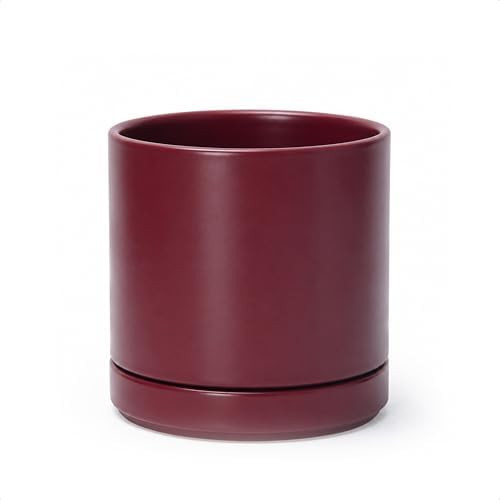 D'vine Dev 6.5 Inch Ceramic Planter Pot, Cordovan, 94-O-C-4 | Modern Cylinder Design, Drainage Ho... | Amazon (US)