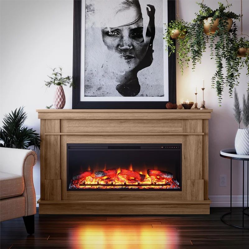 Ashmun 64'' W Electric Fireplace | Wayfair North America