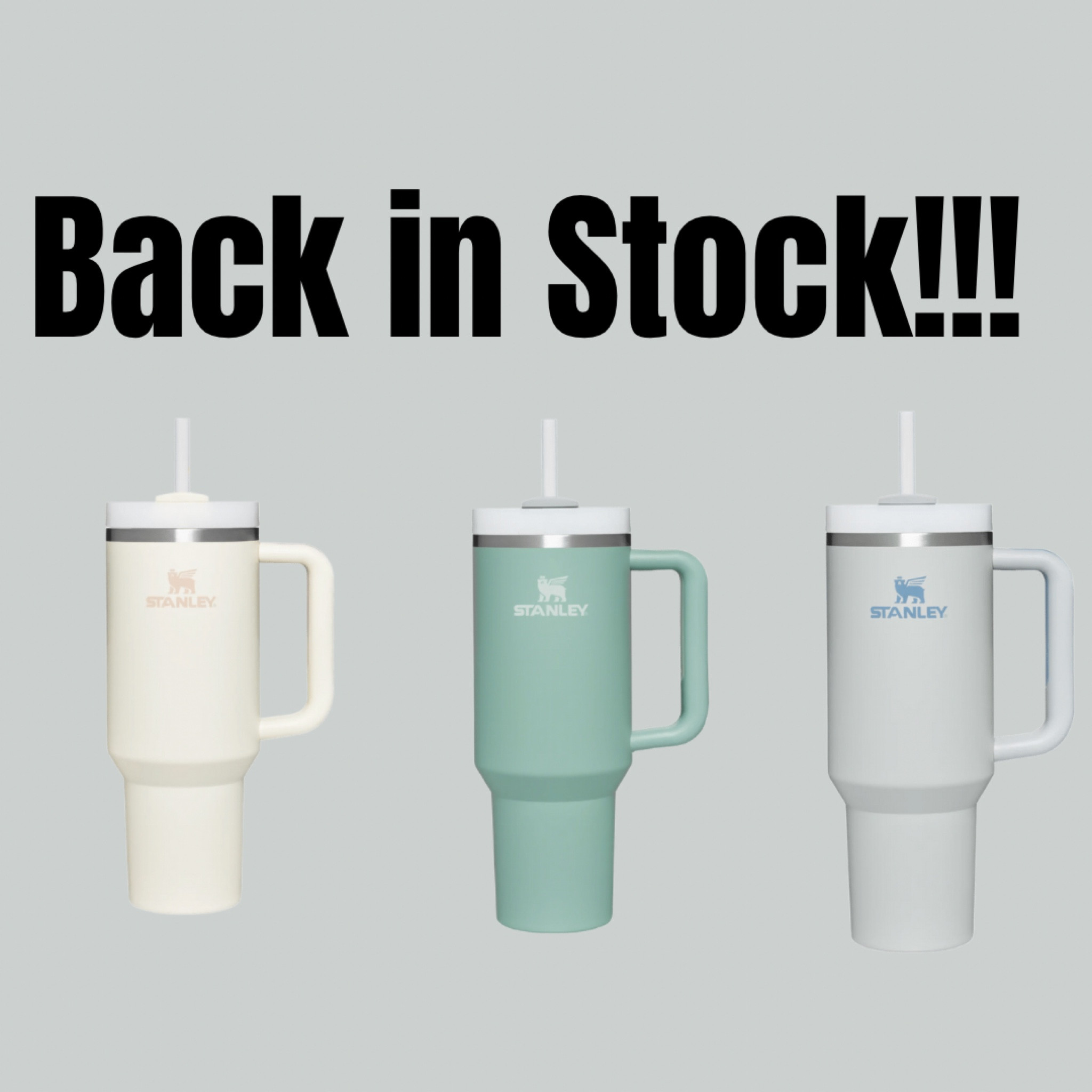 Stanley Cups restocked!!! 

#LTKSeasonal #LTKHoliday #LTKfit