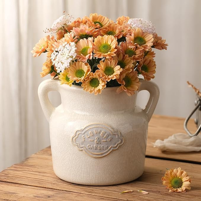 Rustic White Ceramic Vase, 5.8 Inch Vintage Flower Vases with Handle, Farmhouse Distressed Decora... | Amazon (US)