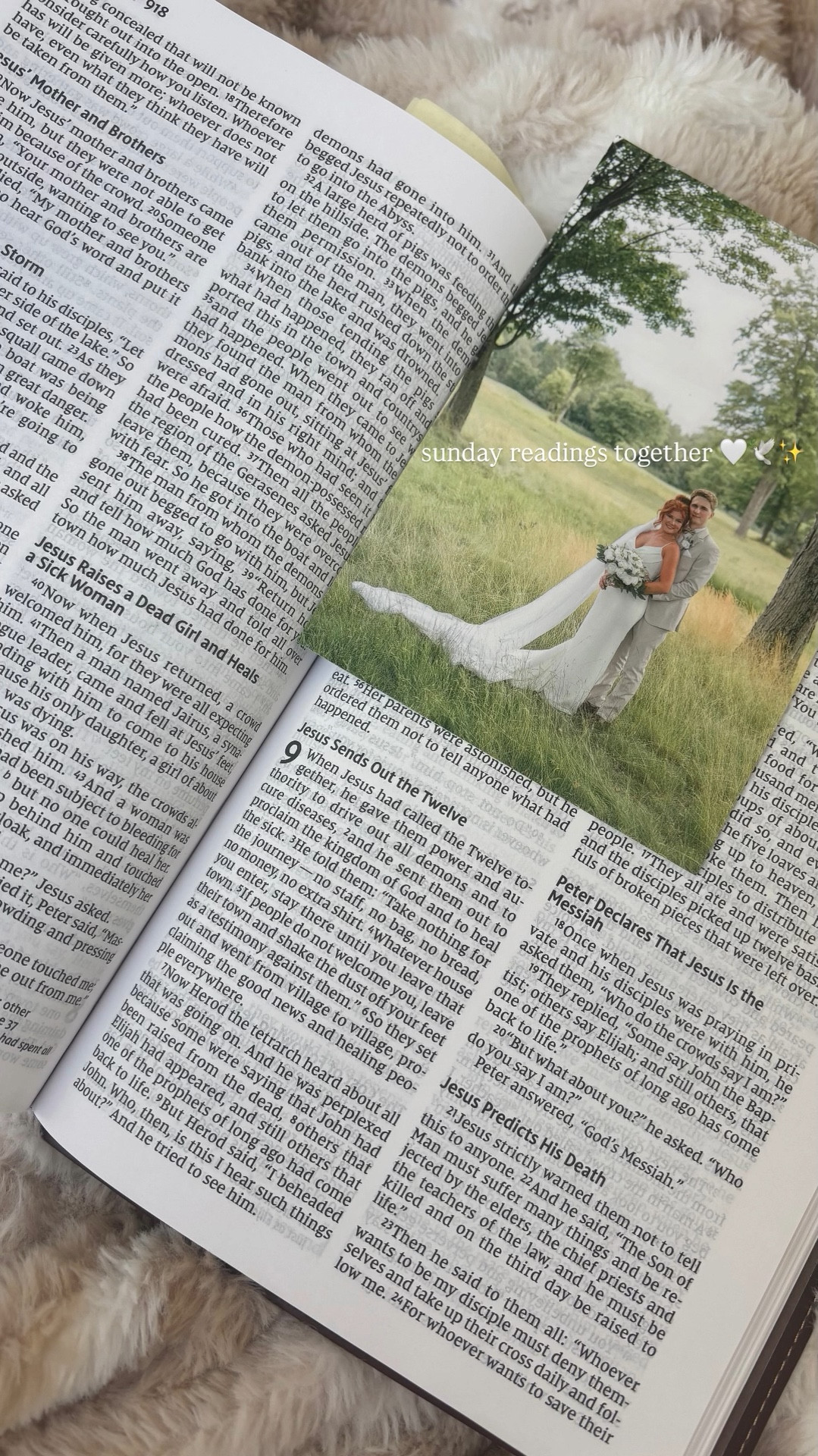 sunday readings together 🤍🕊️✨ sunday readings together 🤍🕊️✨