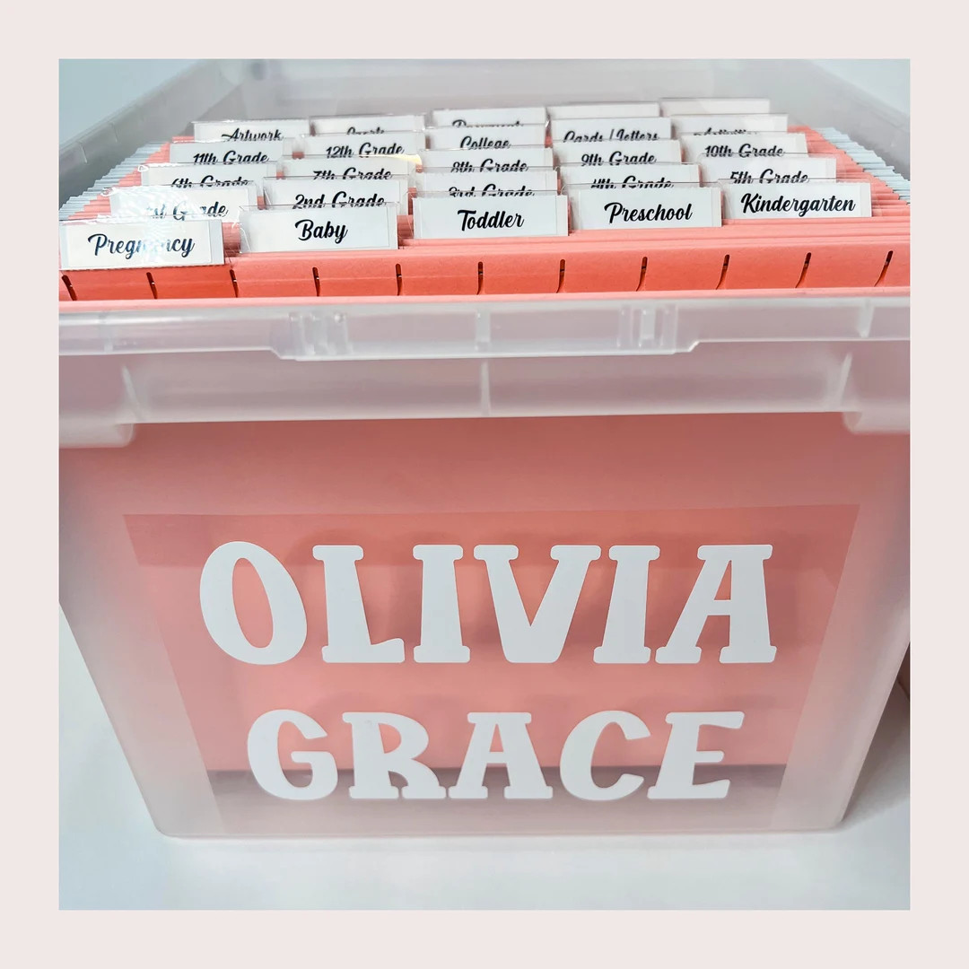 Baby Milestone Tote Kit Personalized Baby Memory Bag Customizable Infant Keepsake Organizer Baby ... | Etsy (US)