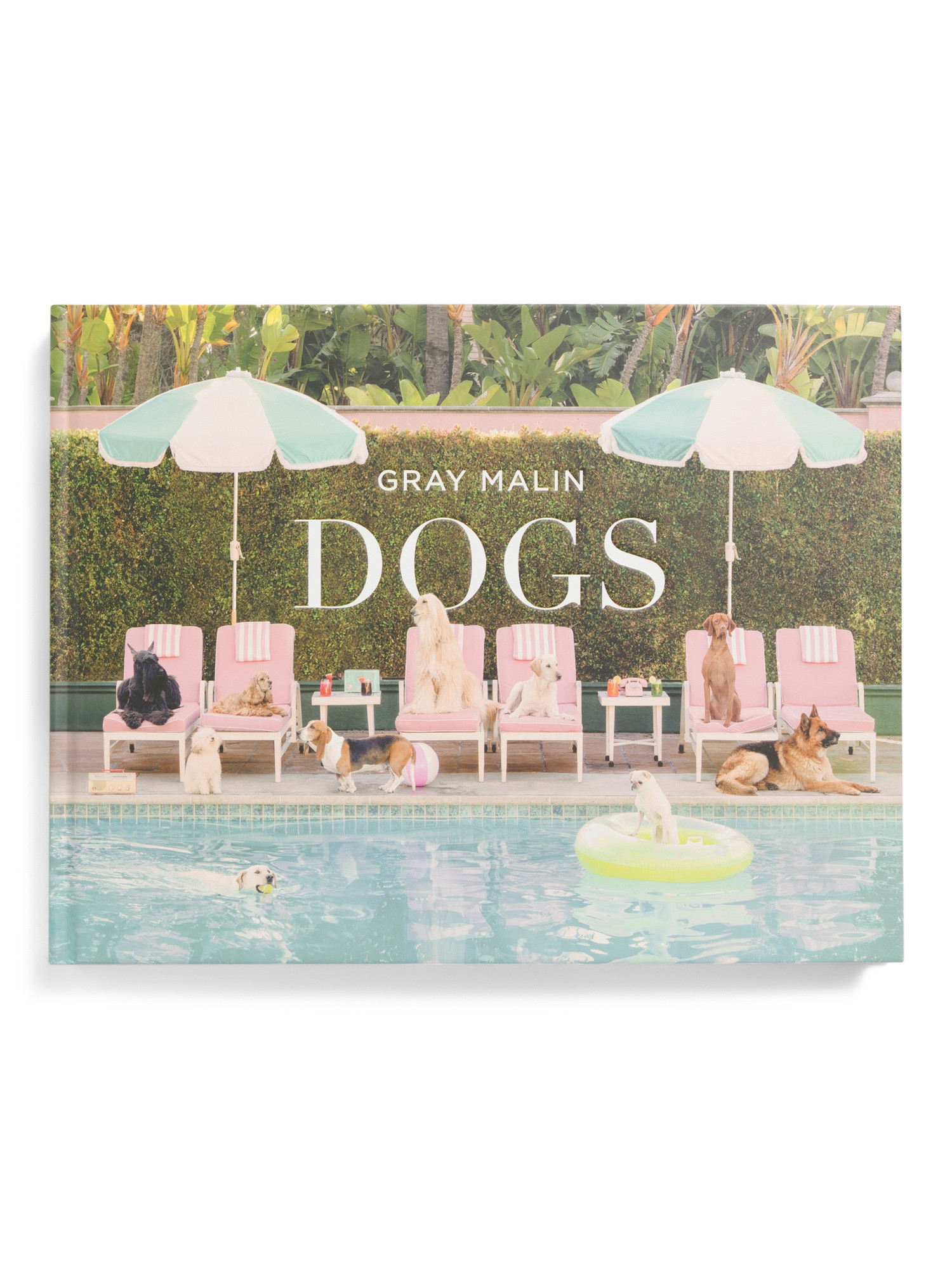 Gray Malin Dogs Book | Pillows & Decor | Marshalls | Marshalls