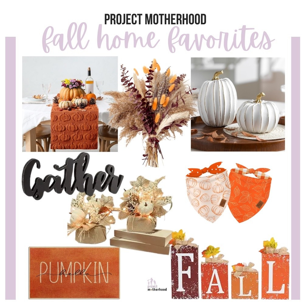 Fall is here and so are these beautiful fall decor trends to snag for your home now! Most pieces are under $50, some WAY under. All very chic and will easily upgrade your home to feel festive 🍁

#LTKHome #LTKSeasonal #LTKFindsUnder50