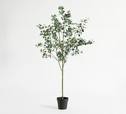 Faux Silver Dollar Eucalyptus Tree | Pottery Barn (US)