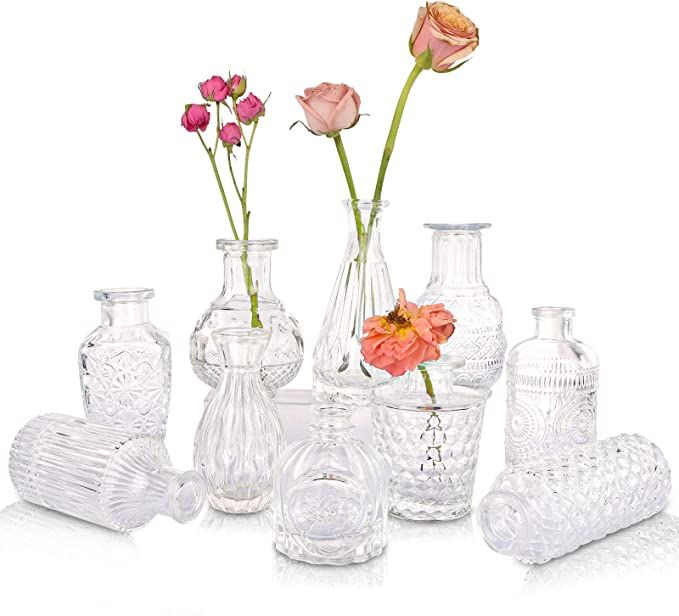 GUANENA Glass Single Bud Vase, Set of 10 Vintage Embossed Flower Vase, Clear Bud Vases in Bulk, D... | Amazon (US)