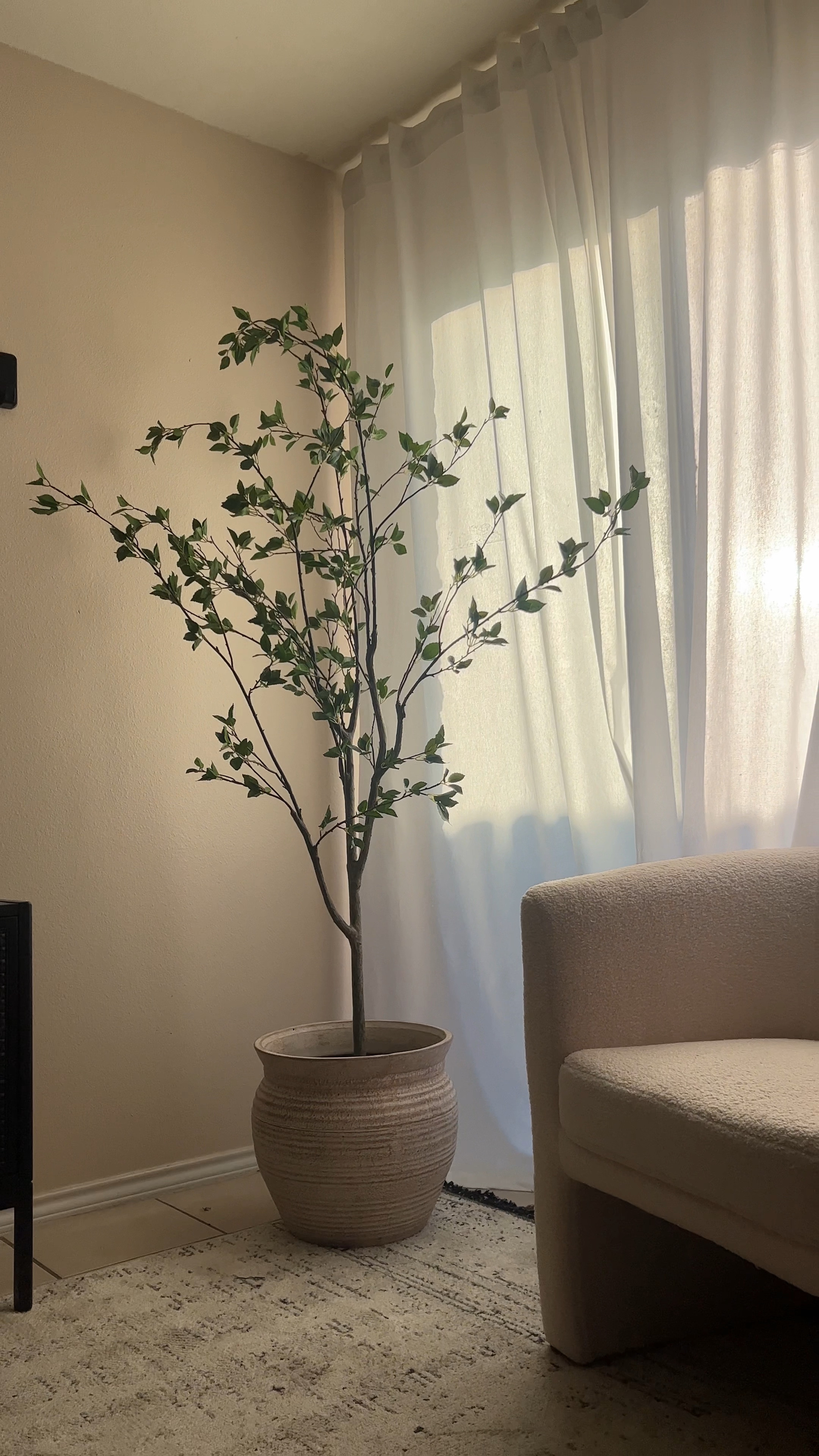 This is your sign to add a faux tree to your home 🙌🏻

#LTKFind #LTKhome #LTKstyletip