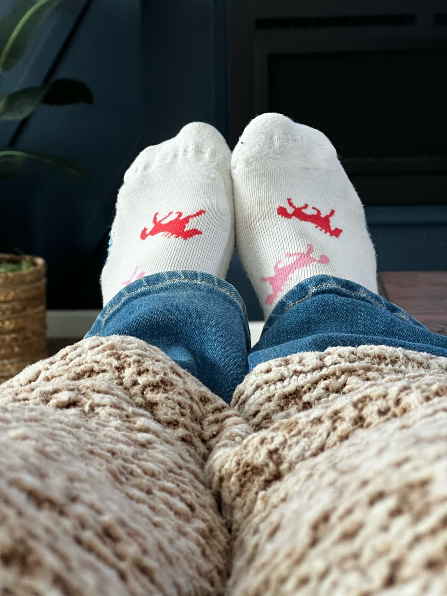 Gotta have em Horsie socks #westernlifestyle #accessories #horsegirl #western

#LTKdayinmylife #LTKOver40 #LTKSaleAlert